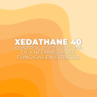 Manual XEDATHANE 40