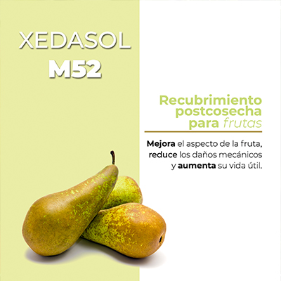 Catálogo XEDASOL M52